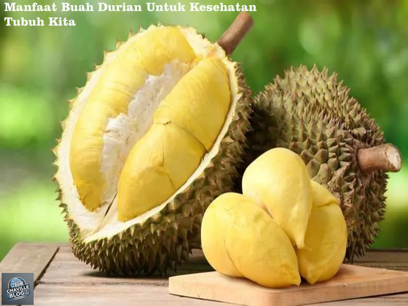 Manfaat Buah Durian Untuk Kesehatan Tubuh Kita, Simak Penjelasan Dokter Health