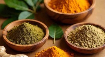 Ayurveda Bangkit: Dunia Kembali ke Akar Kesehatan Holistik