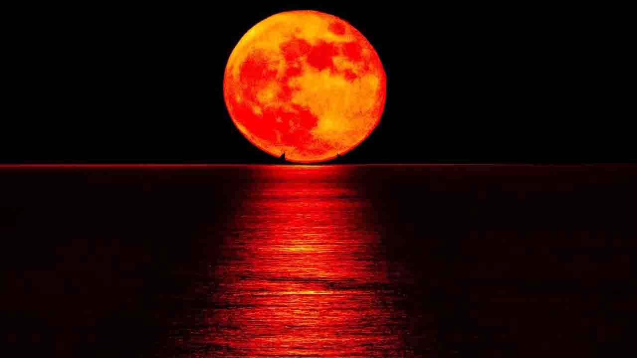Blood Moon